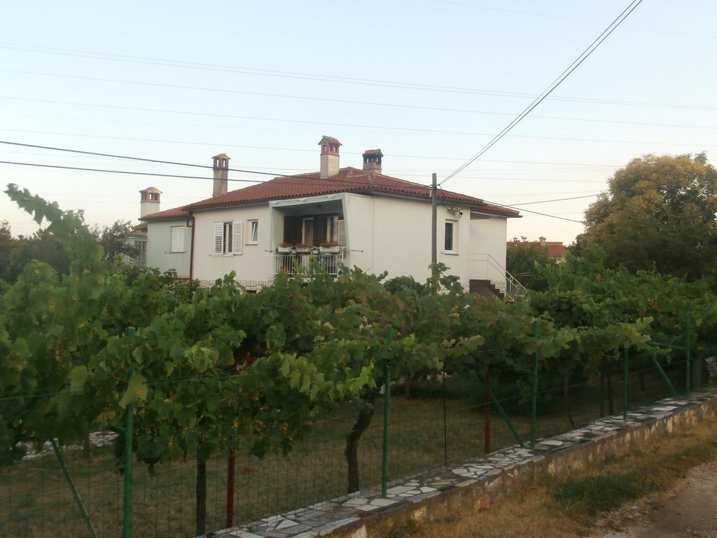 Apartment Gabi لابين المظهر الخارجي الصورة